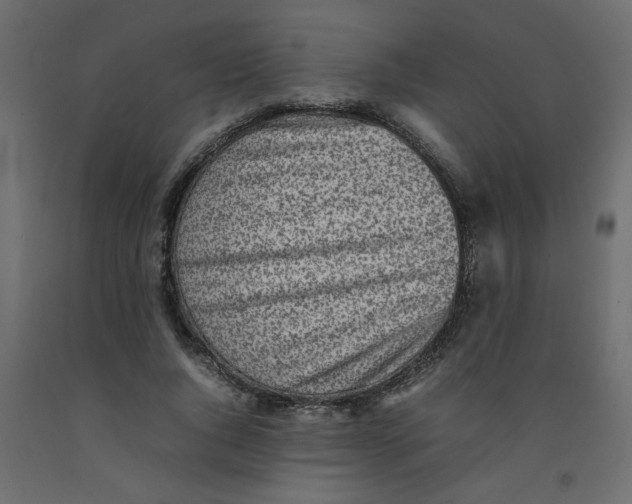 X0000092100736200710101121