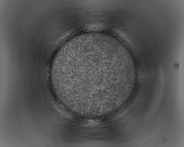 X0000092100737200710101121