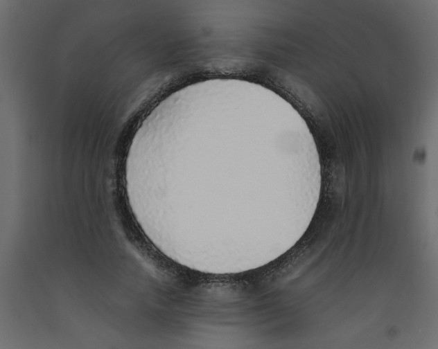 X0000092100738200710101121