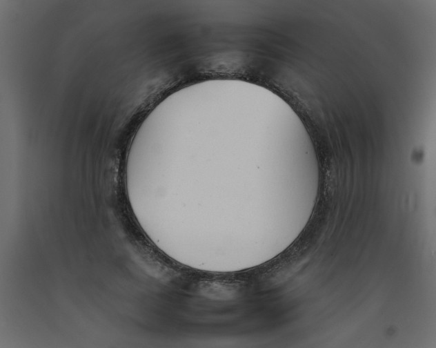 X0000092100739200710101121