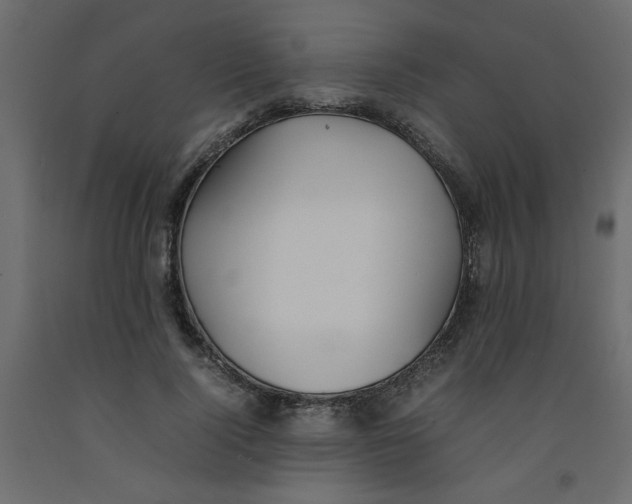 X0000092100740200710101121