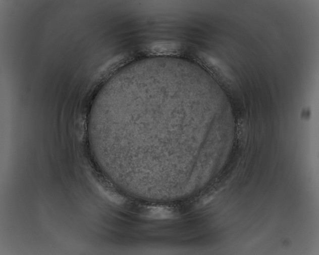 X0000092100741200710101121