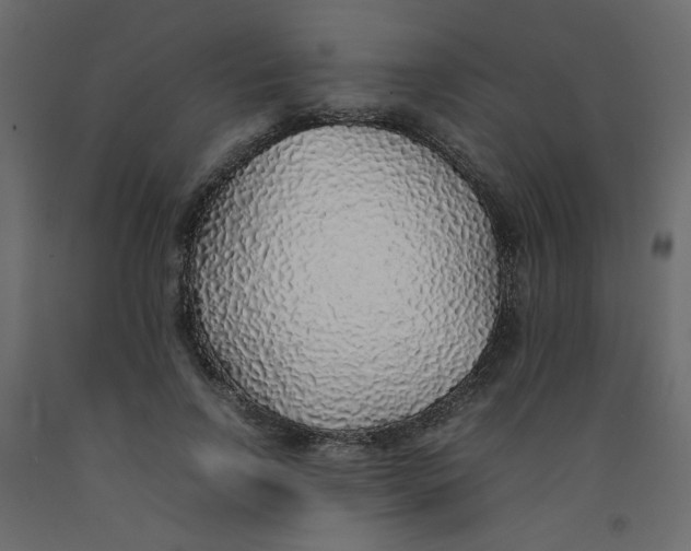 X0000092100742200710101121