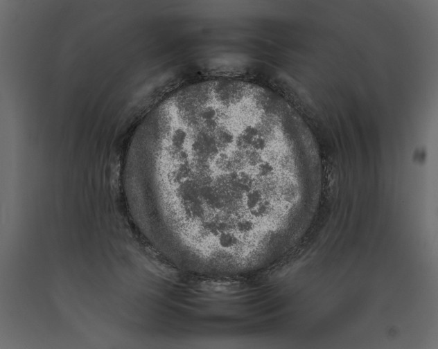 X0000092100745200710101122