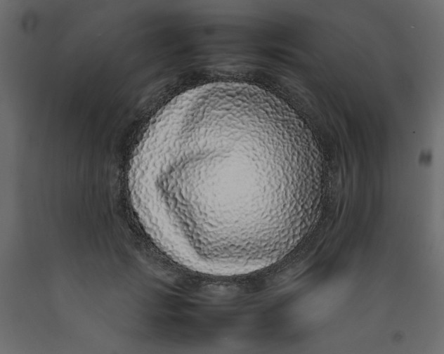 X0000092100749200710101122