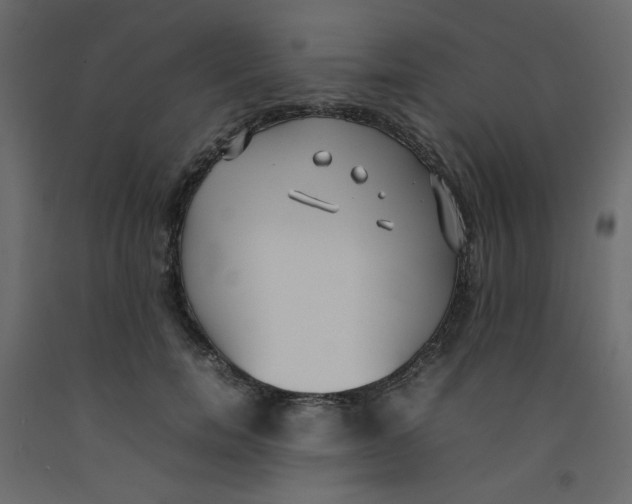 X0000092100750200710101122