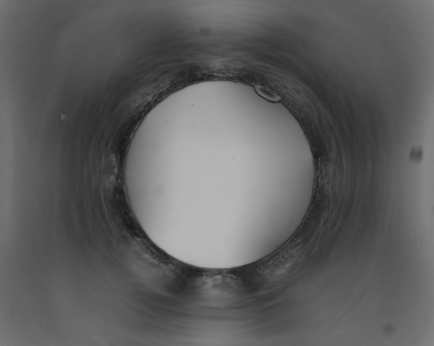 X0000092100752200710101122