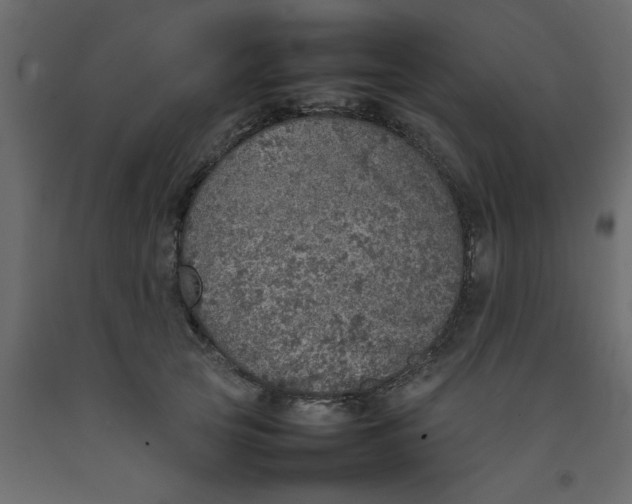 X0000092100753200710101122