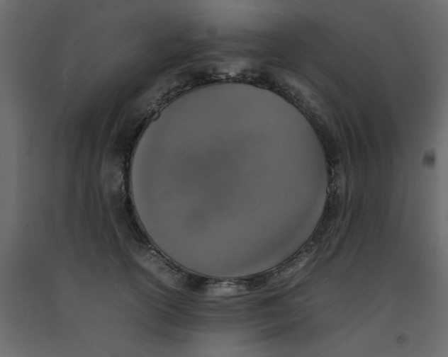 X0000092100754200710101122