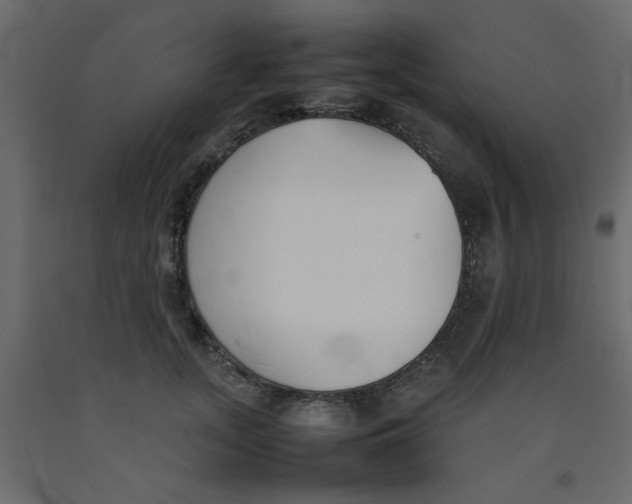 X0000092100755200710101122