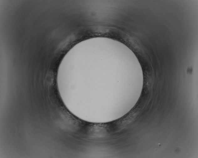 X0000092100758200710101122