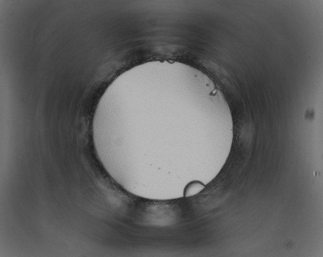 X0000092100759200710101122