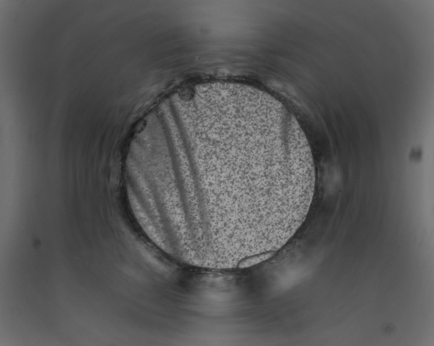 X0000092100760200710101122