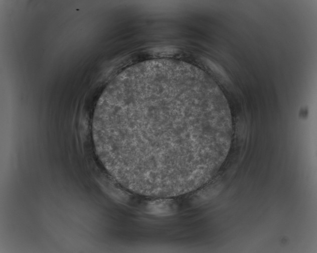 X0000092100761200710101122