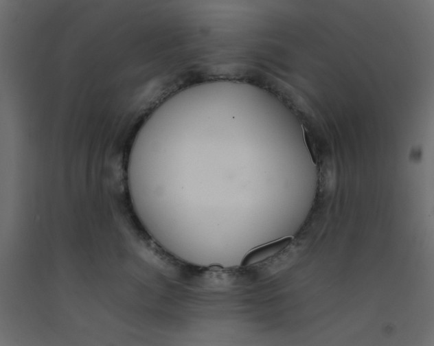 X0000092100764200710101122