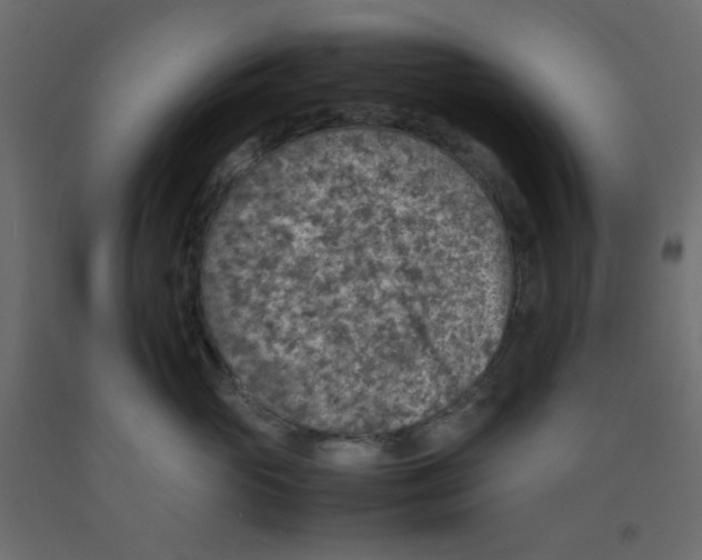 X0000092100765200710101122