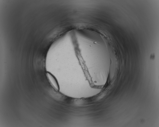 X0000092100766200710101122