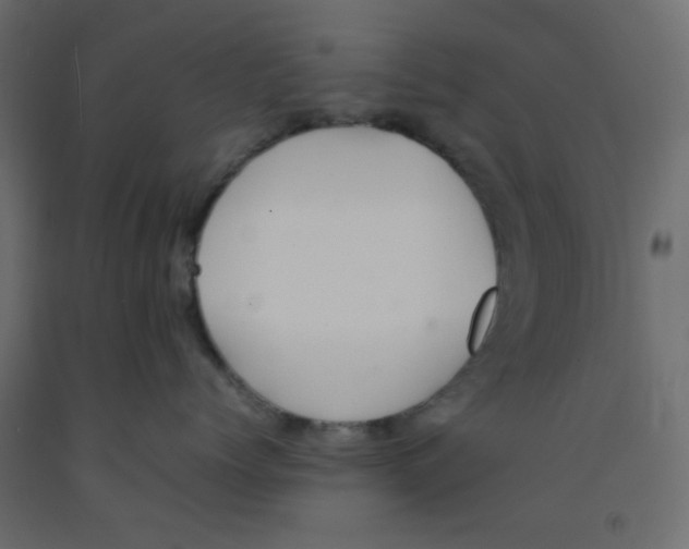 X0000092100768200710101122