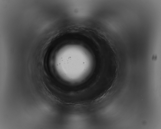 X0000092100769200710101121