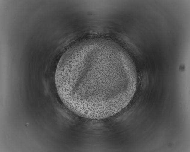 X0000092100770200710101121