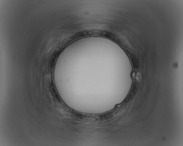 X0000092100771200710101121