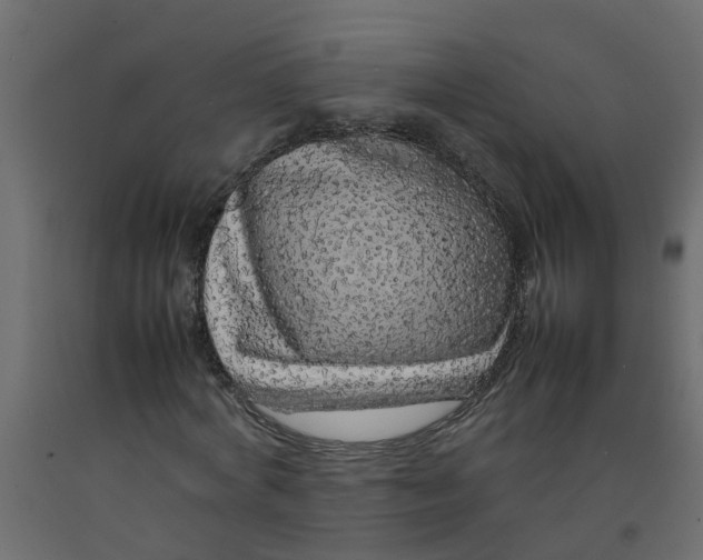 X0000092100772200710101121