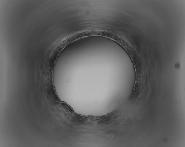 X0000092100773200710101121