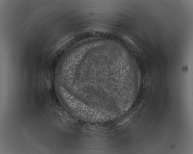 X0000092100774200710101121