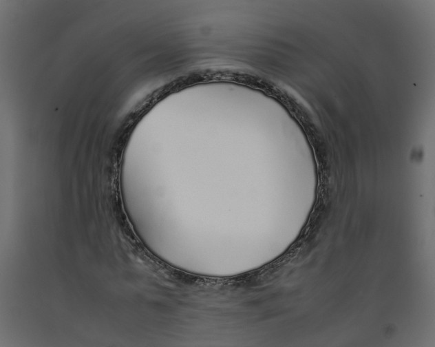 X0000092100775200710101121