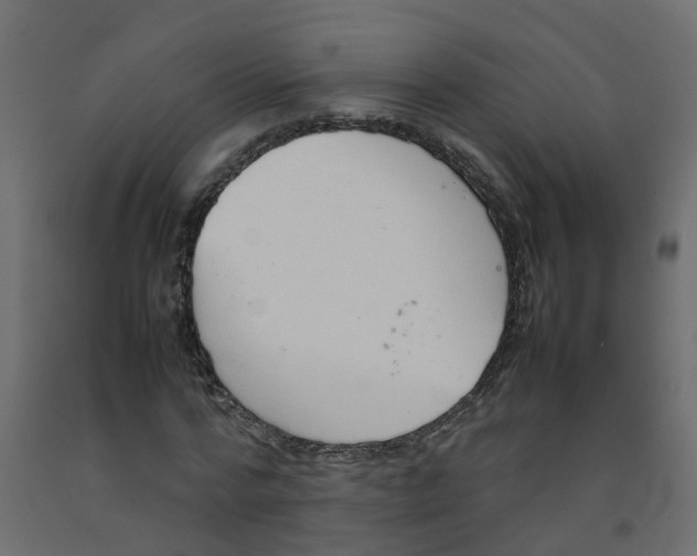 X0000092100776200710101121