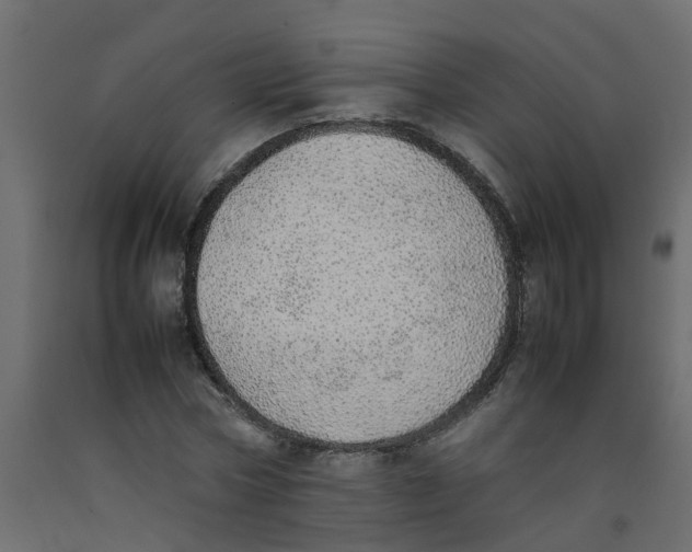 X0000092100778200710101121