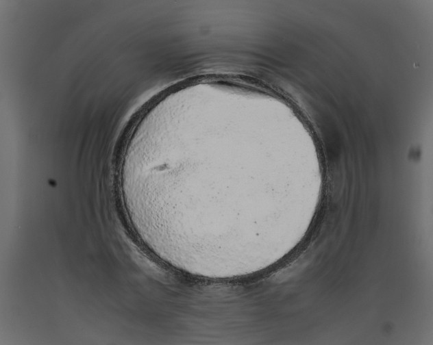 X0000092100779200710101121