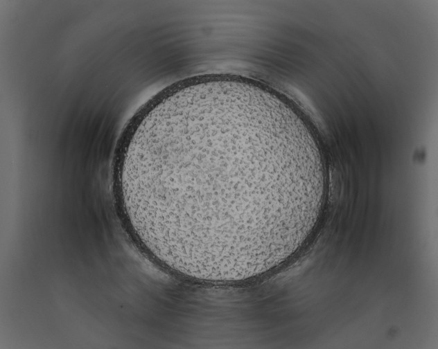 X0000092100780200710101121