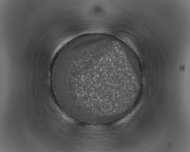 X0000092100781200710101121