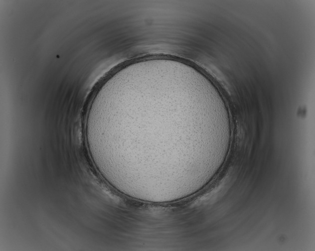 X0000092100782200710101121