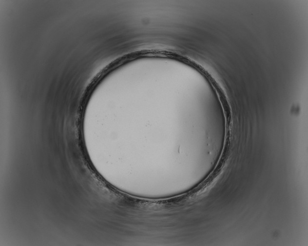 X0000092100783200710101121