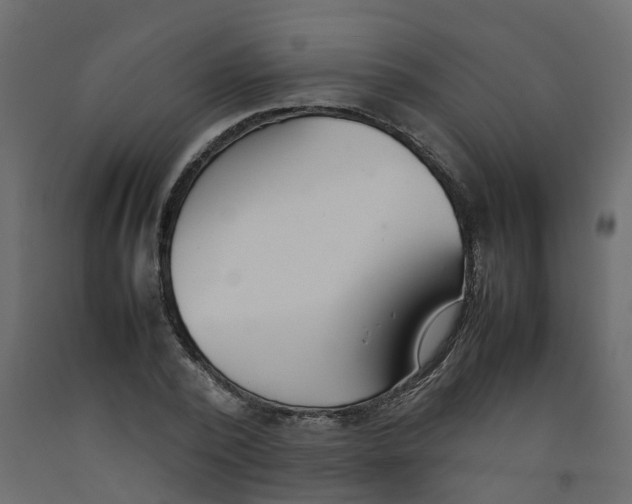 X0000092100784200710101121