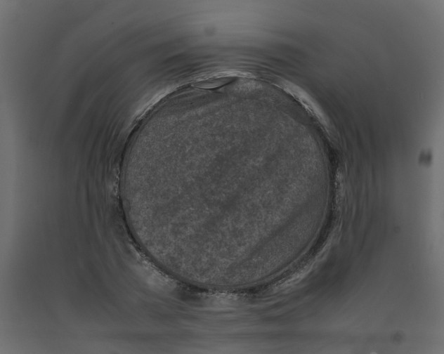 X0000092100785200710101121