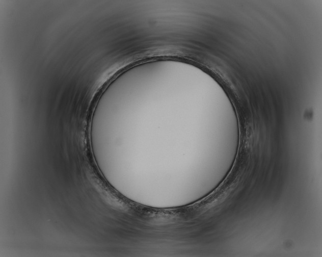 X0000092100786200710101121