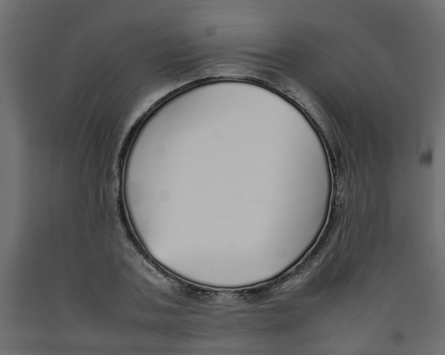 X0000092100787200710101121