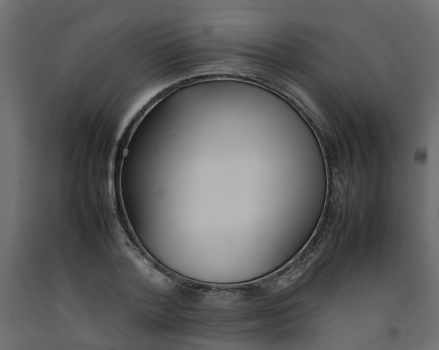 X0000092100788200710101121