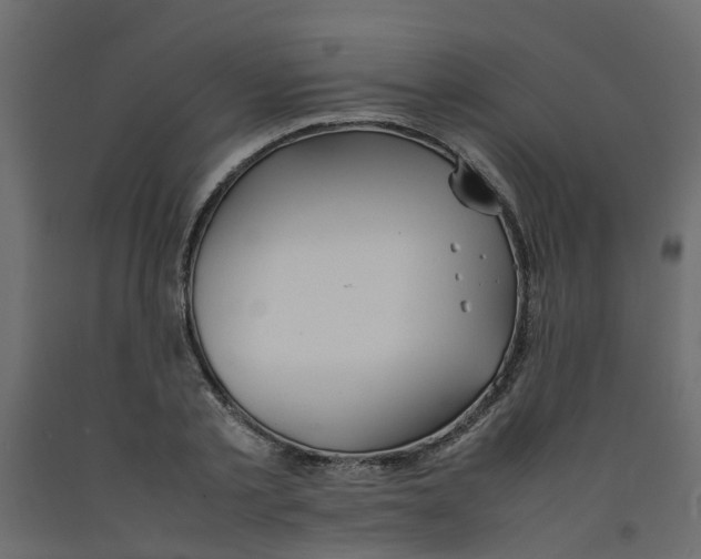 X0000092100789200710101121