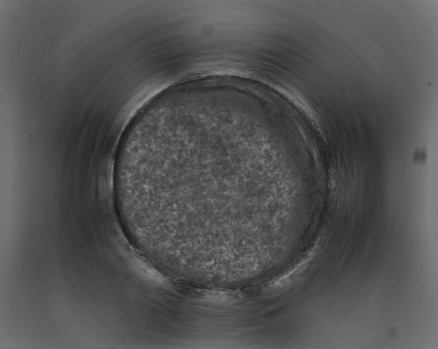 X0000092100790200710101121