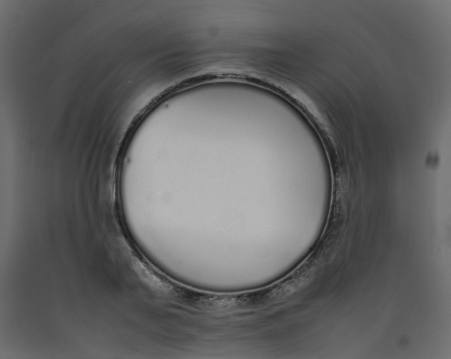 X0000092100791200710101121