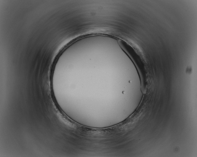 X0000092100792200710101121