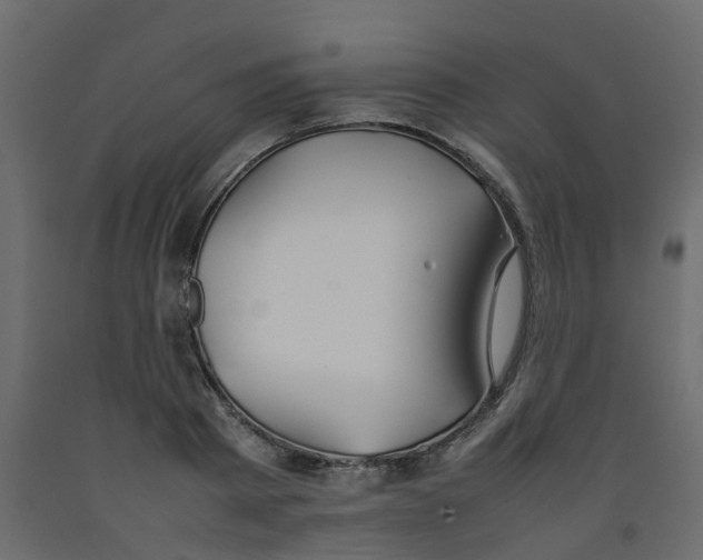 X0000092100793200710101121