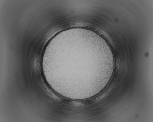 X0000092100794200710101121