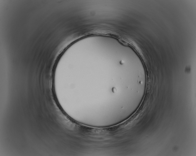 X0000092100795200710101121