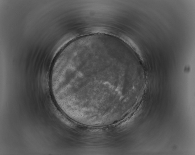 X0000092100798200710101120