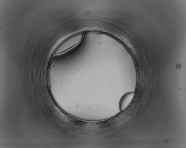 X0000092100799200710101120